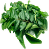 FruitsVegetables_Vegetables_FreshPackCurryLeaves.png
