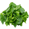 FruitsVegetables_Vegetables_FreshPackMalwarSpinach.png