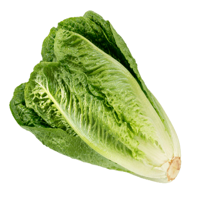FruitsVegetables_Vegetables_FreshPackLettuce.png