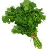 vegitables_coriander_leaves_local_coriander_leaves.png