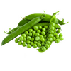 vegitables_green_peas_local_green_peas.png