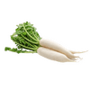 vegitables_radish_white_local_safeed_moolee.png