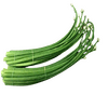 vegitables_spring_onion_local_spring_onion.png