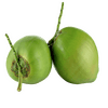 fruits_tender_coconut_local_tendra_coconut.png
