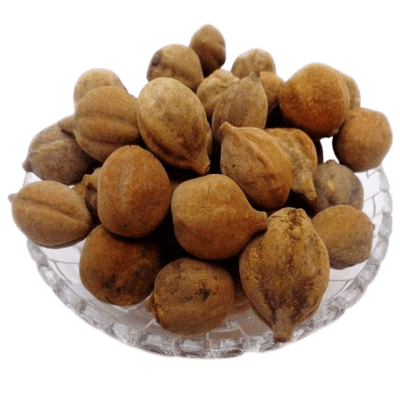 Ayurveda_AyurvedicStore_BahedaBibhitakiTerminaliabellirica.png