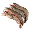 nonveg_shrimp_medium.png