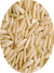 Rice_Rice_Products.png
