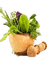 ayurvedic.png